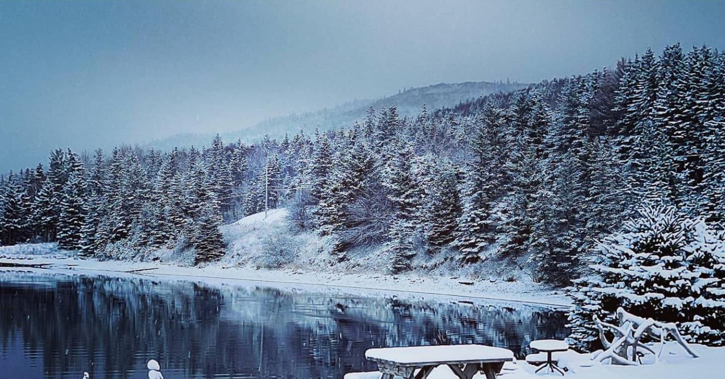 St Ann's Motel&Cottage Baddeck Inlet Exteriör bild